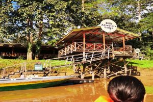 Borneo River Lodge