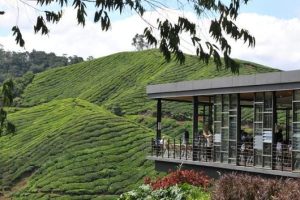 Motels di Cameron Highlands, Malaysia 3 Motels di Cameron Highlands, Malaysia